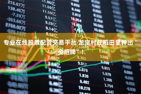 专业在线股票配资交易平台 龙宝村在稻田里种出“金招牌”！